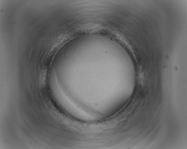 X0000064040018200601301200