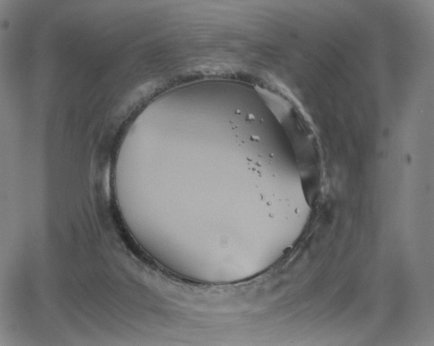 X0000064040019200601301200