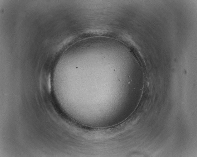 X0000064040020200601301200