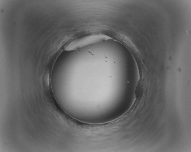 X0000064040021200601301200