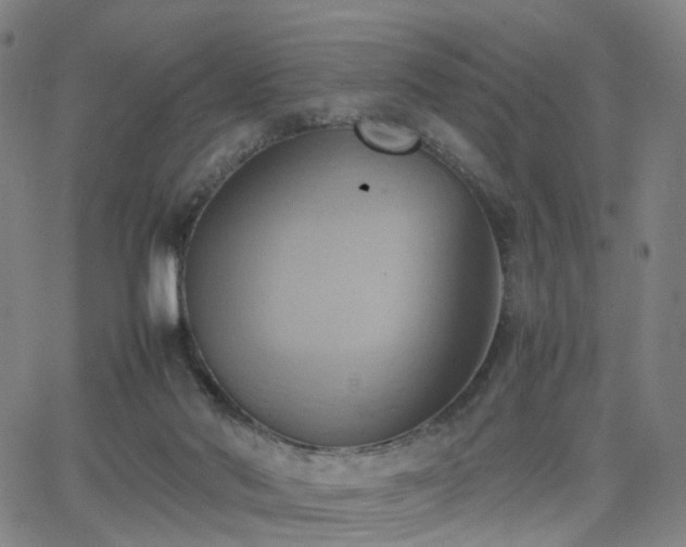 X0000064040022200601301200