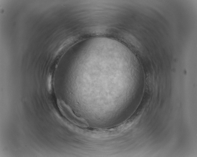 X0000064040024200601301200