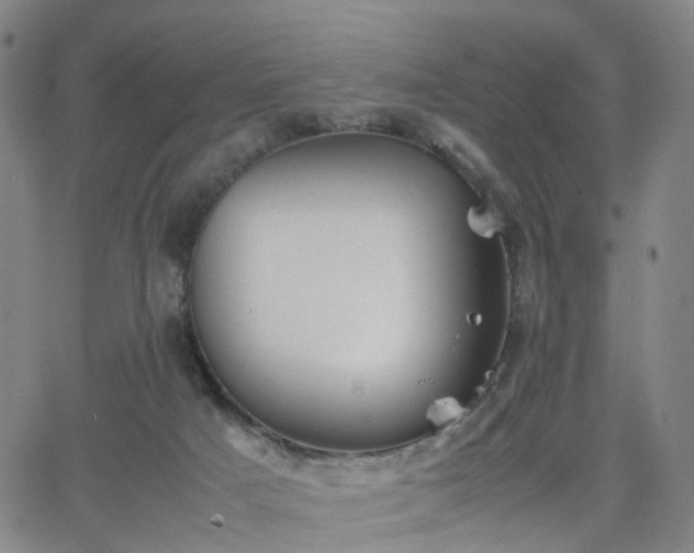 X0000064040025200601301200