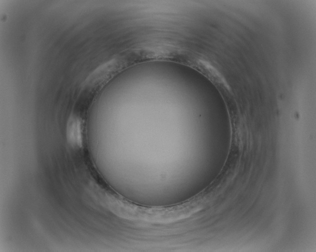 X0000064040026200601301200