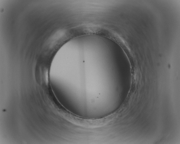 X0000064040027200601301200