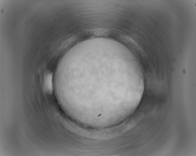 X0000064040028200601301200