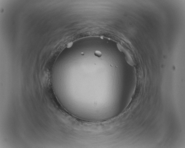 X0000064040029200601301200