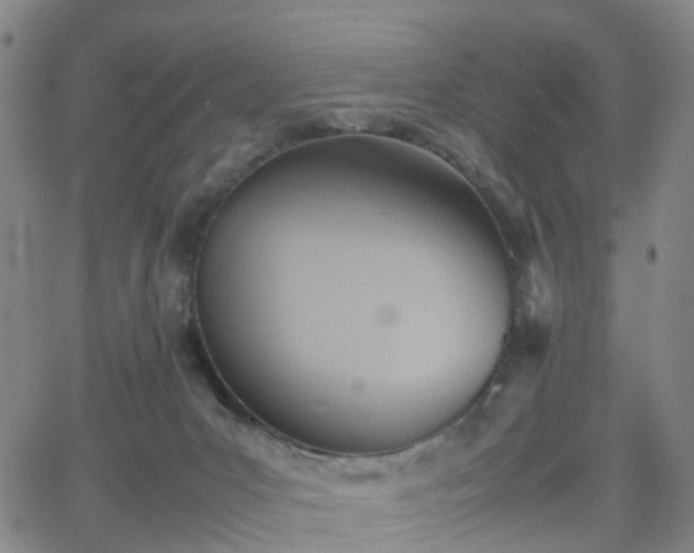 X0000064040031200601301200