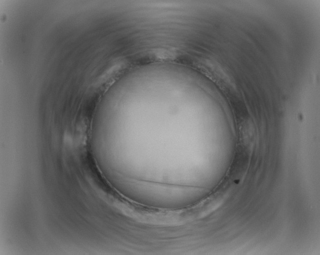 X0000064040032200601301200