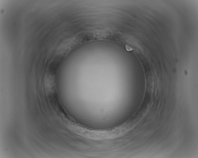 X0000064040034200601301200