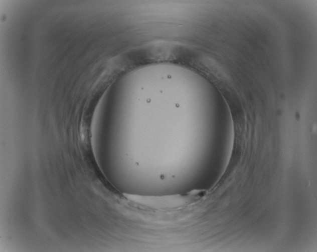 X0000064040035200601301200