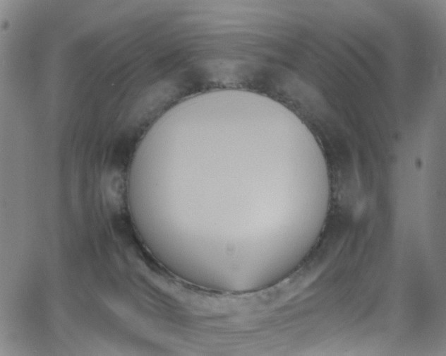 X0000064040036200601301159