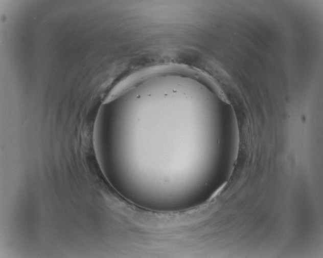 X0000064040037200601301159