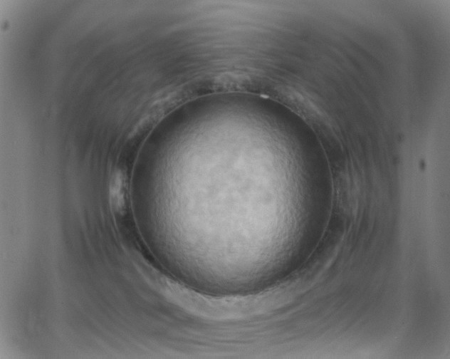 X0000064040038200601301159