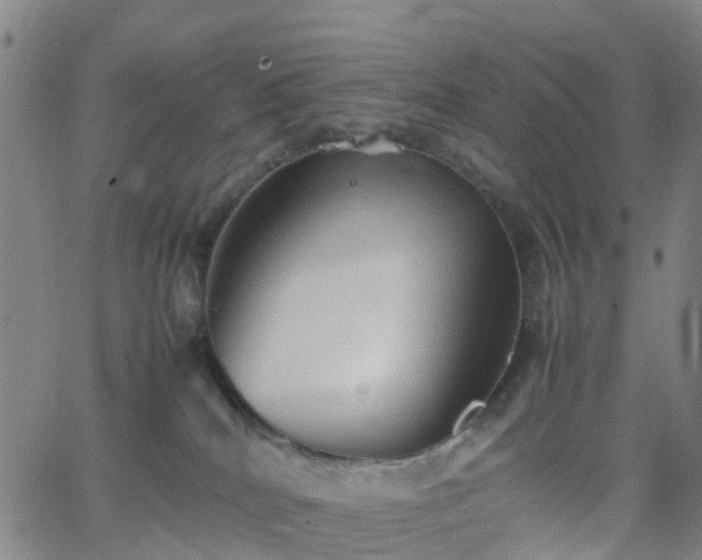 X0000064040040200601301159