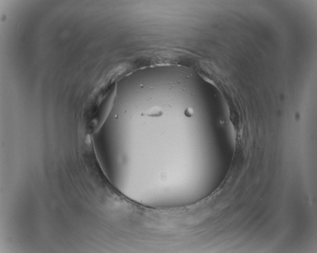 X0000064040041200601301159