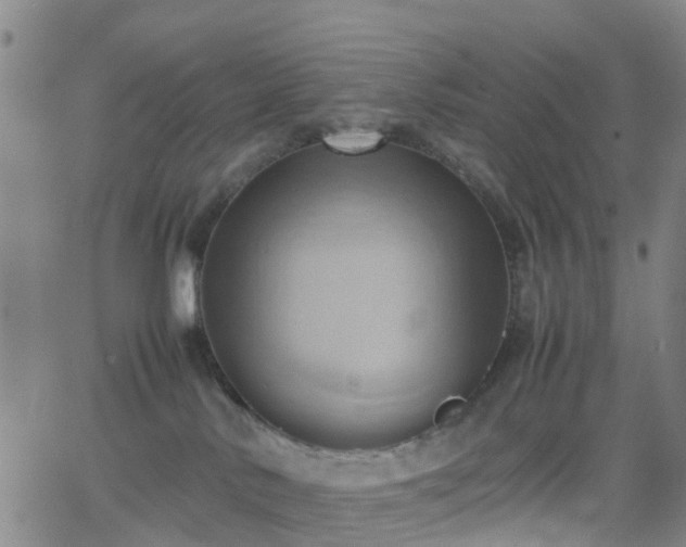 X0000064040042200601301159