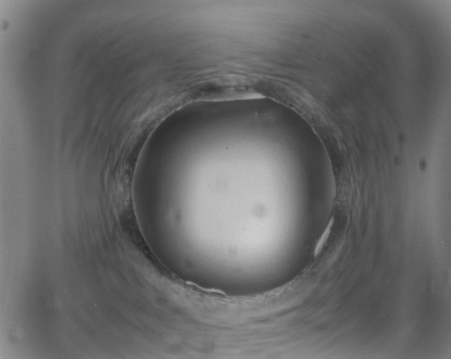 X0000064040043200601301159