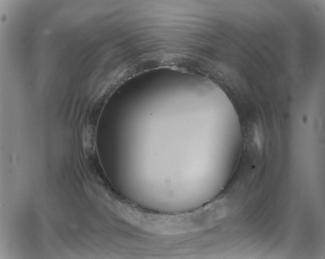 X0000064040044200601301159