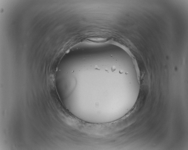 X0000064040045200601301159