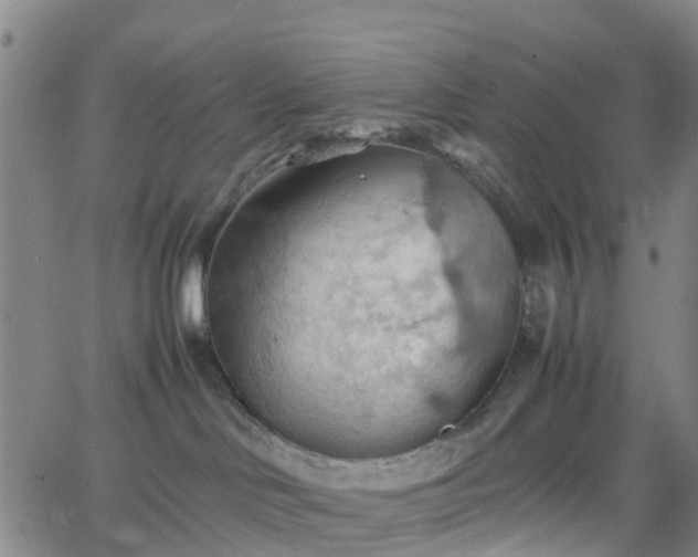 X0000064040046200601301159