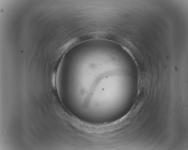 X0000064040047200601301159