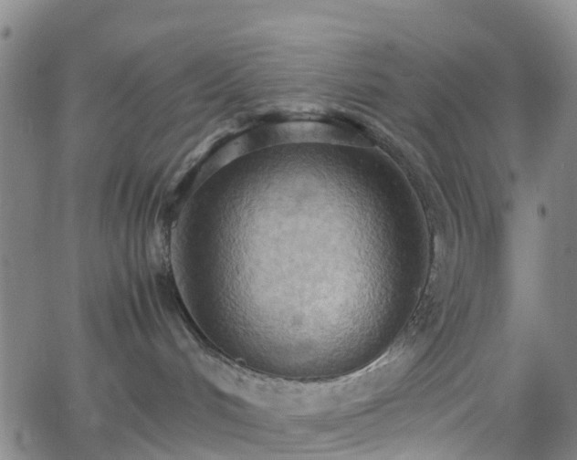 X0000064040048200601301159