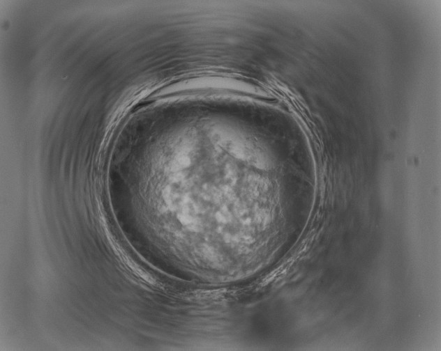 X0000064040049200601301159