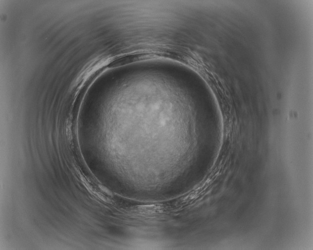 X0000064040050200601301159