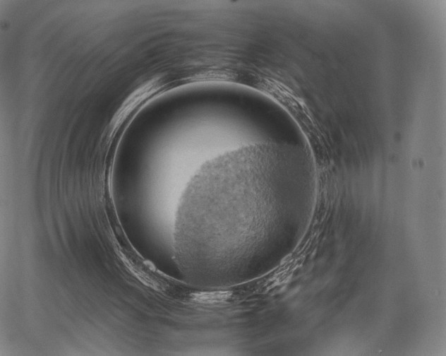 X0000064040051200601301159