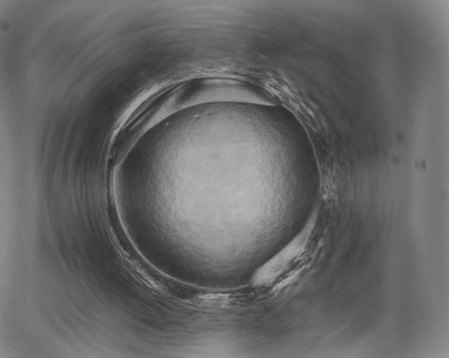 X0000064040052200601301159