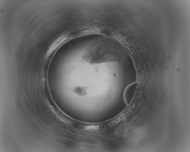 X0000064040053200601301159