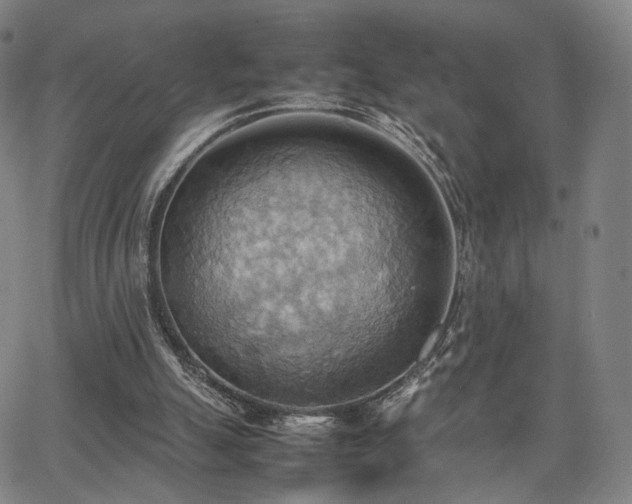 X0000064040055200601301159