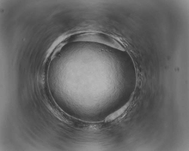 X0000064040056200601301159