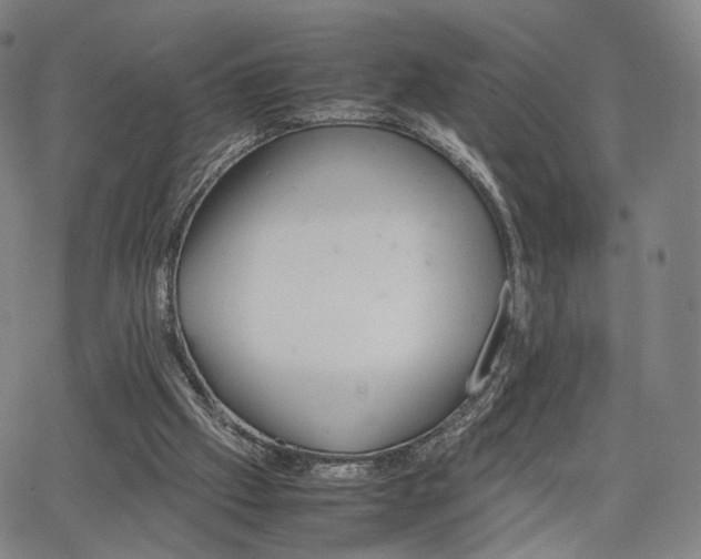 X0000064040057200601301159