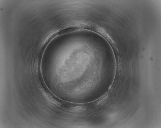 X0000064040058200601301159