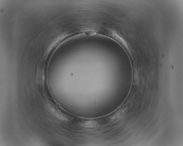 X0000064040059200601301159