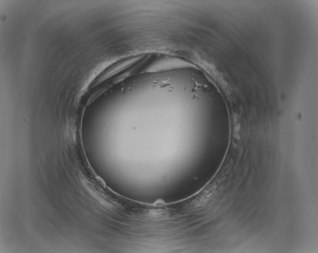 X0000064040060200601301159