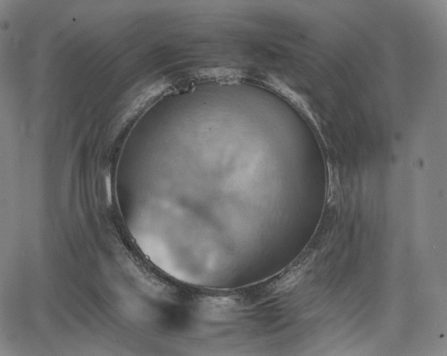 X0000064040061200601301159