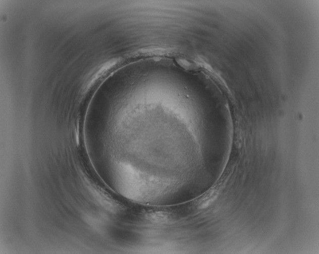 X0000064040062200601301159