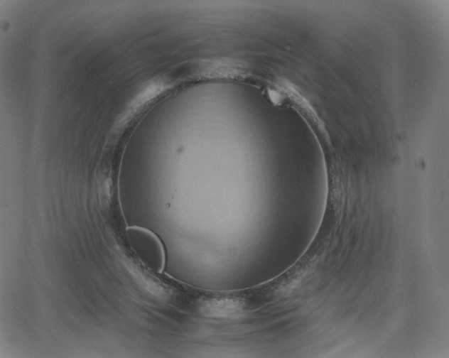 X0000064040063200601301159