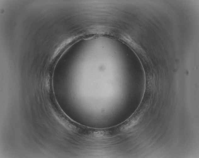 X0000064040064200601301159