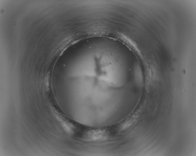 X0000064040065200601301159