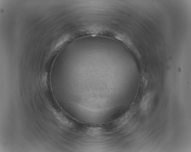 X0000064040066200601301159