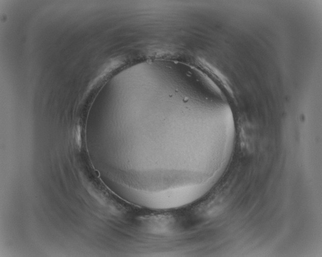 X0000064040067200601301159