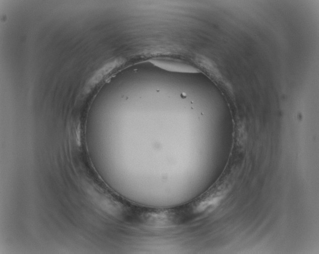 X0000064040068200601301159