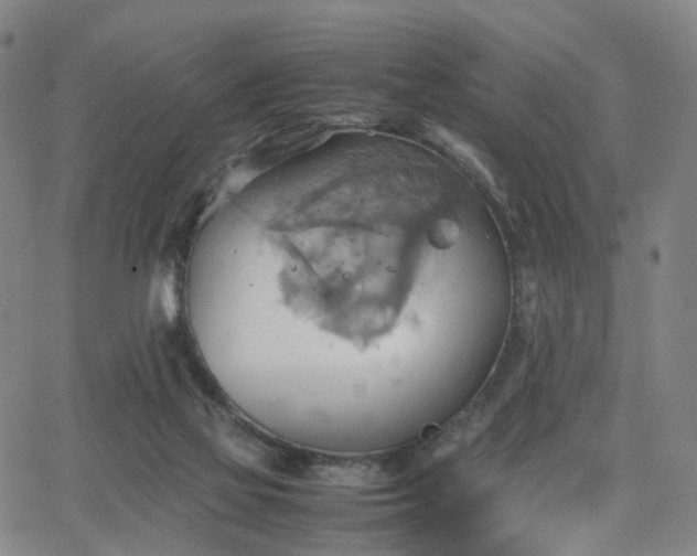 X0000064040069200601301159