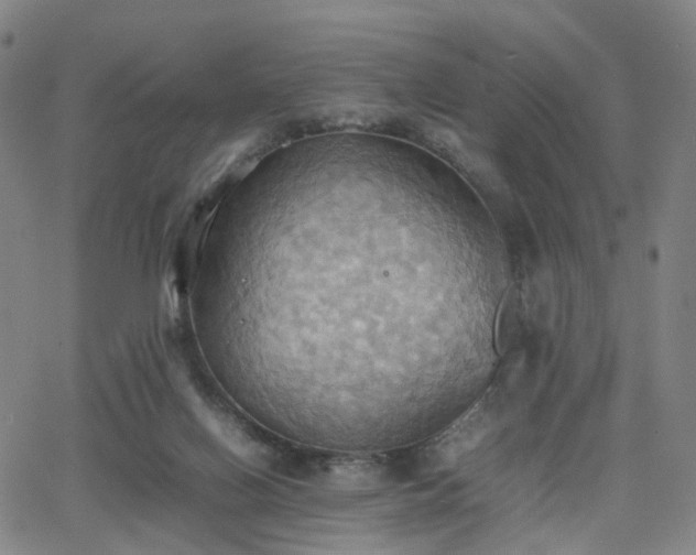 X0000064040070200601301159