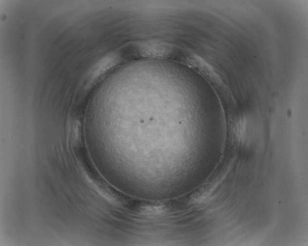 X0000064040071200601301159