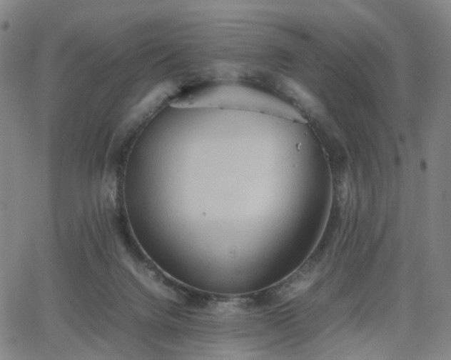 X0000064040072200601301159